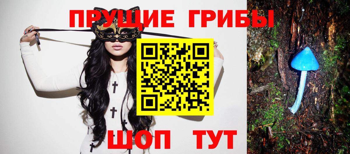 Галлюциногенные грибы мухоморы Новосибирск