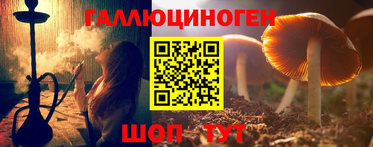 Новосибирск  Галлюциногенные грибы GOLDEN TEACHER  Вход с VPN 